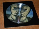 Pink Floyd ?– The Division Bell rare edition picture disc