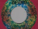 SHADOWS OF KNIGHT Shake / From way out to way under Team Great 60's garage rock