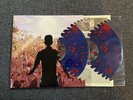A Day To Remember Common Courtesy Vinyl Record Shark Attack 2LP Rare OOP