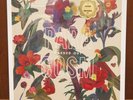 NEW Washed Out Paracosm LP Loser Edition 1st Run Colored Vinyl Sub Pop