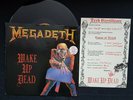 lp Megadeth Wake up dead ,signed by band,  Slayer Metallica
