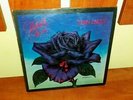 THIN LIZZY BLACK ROSE A ROCK LEGEND LP RARE INDIAN VERTIGO SWIRL LABEL