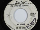 Northern Soul 45 AND THE ECHOES Why Wonder PULSE HEAR