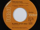 Northern Soul 45 EXCITERS Blowing Up My Mind  RCA VICTOR VG+ 1st pressing HEAR