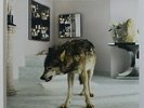 GRINDERMAN 'Grinderman 2' Gatefold Vinyl LP NEW/SEALED