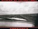 Bruce Springsteen-Nebraska (UK IMPORT) Vinyl / 12