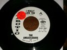 The Ambassadors- I Really Love You