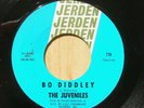 Garage Northern Soul  JUVENILES Bo Diddley JERDEN 770  orig 1965 VG++