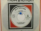 Ray Paige  RCA 9047 Promo  Ain't No Soul b/w Don't Stop Now  Northern Soul
