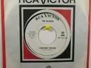The Olivers  RCA 9113 WL Promo I Saw What You Did b/w Beeker Street Garage Rock
