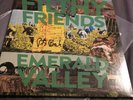 Filthy Friends Peter Buck signed LP Emerald Valley Green Vinyl Wuxtry Records