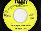 Sweet Soul 45 - Ice-Cold-Love - Wonderful To Be Loved - Tammy - mp3