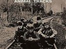 Animals - Animal Tracks Vinyl Maxi  NEU