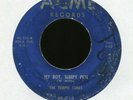 THE TEMPO TONES My Boy Sleepy Pete Dreams Acme Rare R&B Rocker Doo Wop 45 Hear