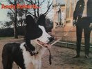 ANDY ROBERTS - HOME GROWN RARE 1970 UK FOLK LP LIVERPOOL SCENE