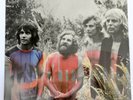 TAMAM SHUD 