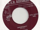DEBBI DAVIES : Opportunity / Magic Land Montana  (M.S.R. 620)  Odd Song Poem 45