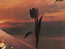 The Pretty Things - Parachute (Limited Edition) Vinyl LP Madfish NEU