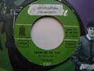 THE BEATLES 45 ' FROM ME TO YOU ' ORIGINAL GERMANY PROMO ONLY - NOT FOR SALE P/S