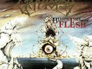 Cryptopsy - Blasphemy Made Flesh ++ LP ++ NEU