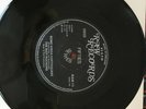 the riot rockers (tennessee saturday night-some kinda earthquake) 45rpm
