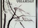 Pharoah Sanders on India Navigation Stereo Original NM