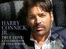 Harry Connick Jr - True Love: A Celebration Of Cole Porter 60257799 (Vinyl Used)