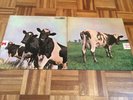 progressive LP,PINK FLOYD,Atom Heart Mother, klasse Zustand, HÖR ZU,FOC