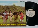 REGGAE IN THE GRASS Studio One SOL 9007 LP VG++ Vinyl