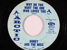 Northern Soul 45 - Honey & The Bees - Why Do You Hurt The One - Arctic - mp3