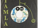 Northern Soul 45 - Marvin Gaye & Tammi Terrell - Ain't No Mountain - promo