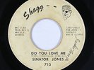 Northern Soul 45 - Senator Jones - Do You Love Me - Shagg - mp3 - rare