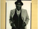 Muddy Waters Hard Again 180G NEW OVP Music On Vinyl Vinyl LP