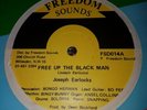 Joseph Earlocks Free Up The Black Man UK Roots 12