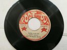 LEROY BROWN & THE BLACK TRAPS - BLOOD A GO RUN // DRUNKEN MASTER    [ DEC025 ]