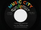 Sweet Soul/Funk 45 - Two Things In One - Together Forever - Music City VG++ mp3