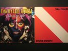 2 LP lot, Van Halen Diver Down, David Lee Roth Eat 'Em and Smile, Steve Vai