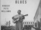 Angola Prisoner's Blues (Folk Lyric) LP 1959 Robert Pete Williams Arhoolie RARE