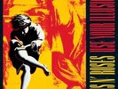 Guns N' Roses-Use Your Illusion I Vinyl / 12