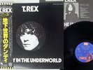 T.REX DANDY IN THE UNDERWORLD EMI EMS-80828 Japan OBI VINYL LP