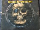 Cyclone - Brutal Destruction - LP - Roadrunner 1986 - RR9687