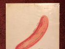 THE VELVET UNDERGROUND & NICO West Coast 1967 pressing v65008 VG vinyl