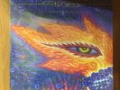 Tool ?– Fear Inoculum [2LP] New album. BLACK vinyl. 2019. SEALED. Europe