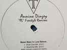 Annina Dinzey-Never Been In Love Before 12
