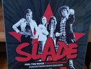 Slade : Feel the Noize: The Singlez Box  VINYL 7