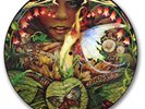 Spyro Gyra - Morning Dance - Picture Disc