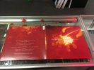 NICKEL CREEK WHY SHOULD THE FIRE DIE? VINYL LP RECORD