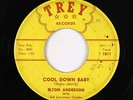 Blues R&B 45 - Elton Anderson - Cool Down Baby - Trey - mp3