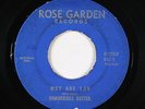 Psych 45 - Hammermill Butter - Why Are You - Rose Garden - mp3 - obscure