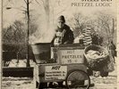 Steely Dan Pretzel Logic - MCA Records 1980 Vinyl LP - MCA 37042 Gatefold
